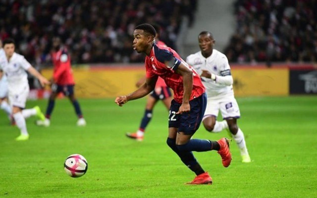 昔日蓝黑功 昔日蓝黑功