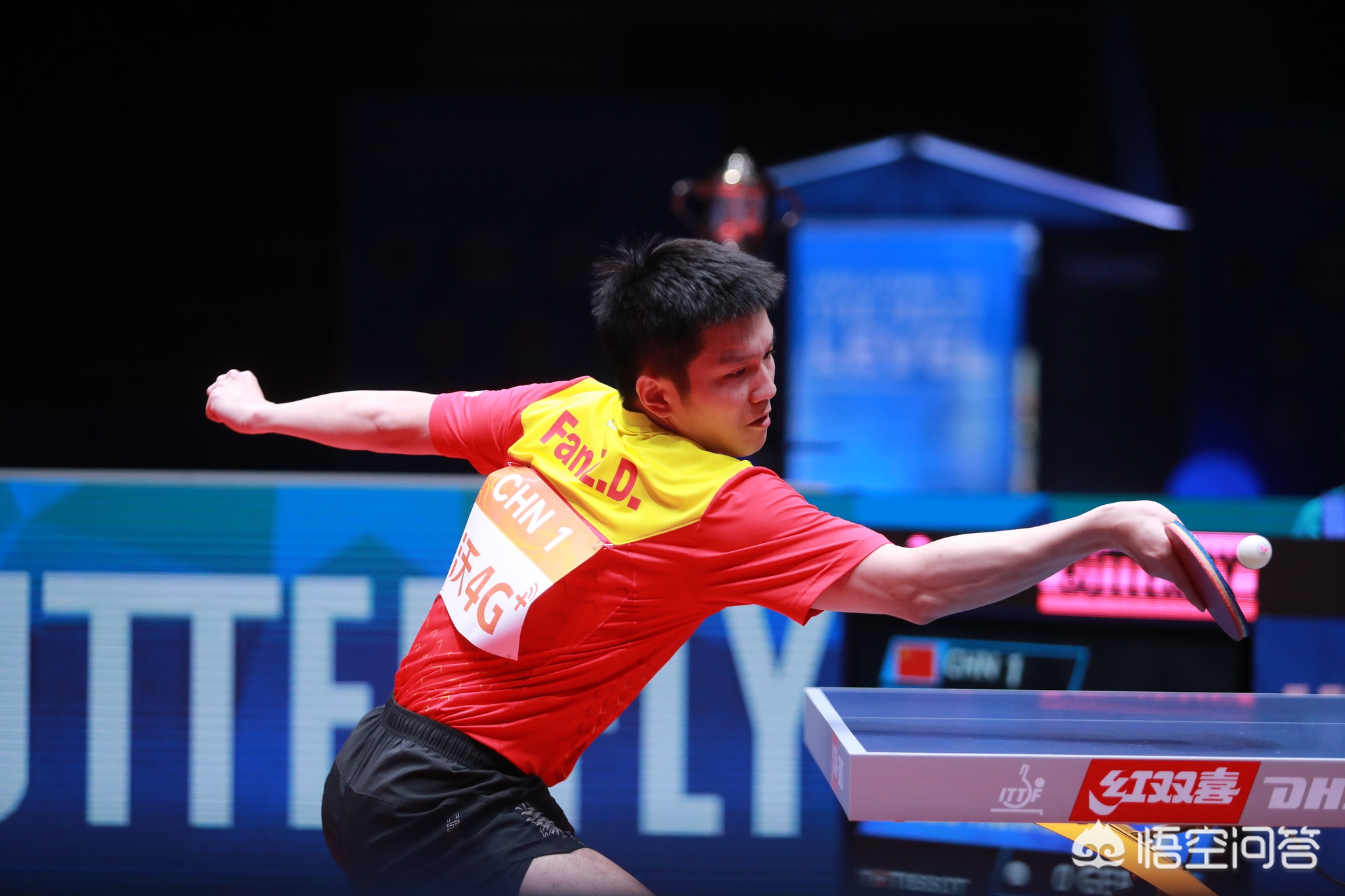 化学反应 化学反应